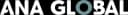 ANA GLOBAL LLC (Precision Metal) planta 2