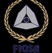 FIQSA S.A. DE C.V. logo